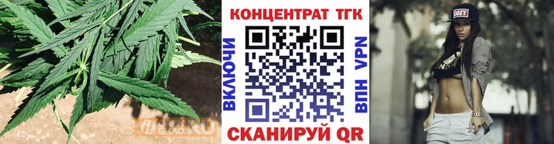 дарнет шоп  Омск  ТГК концентрат 