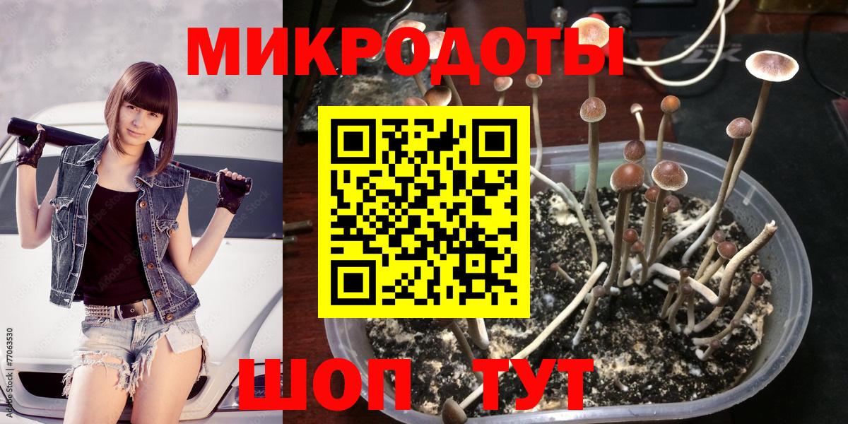 Омск  Галлюциногенные грибы GOLDEN TEACHER  продажа наркотиков  Вход с VPN  Галлюциногенные грибы мицелий 
